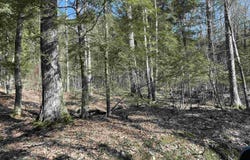 00 Quarry Road, Chester, VT 05143
