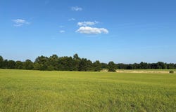 CROUSE MILL ROAD, TANEYTOWN, MD 21787