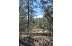 Yucca Drive lot: 15, Ramah, NM 87321