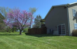 2617 GILES MILL RD, BUNKER HILL, WV 25413