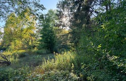 2346 150th Avenue, Braham, MN 55006