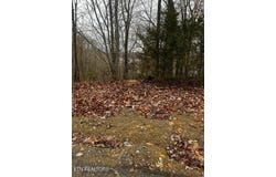 Lot 743 Russell Brothers Rd, Sharps Chapel, TN 37866