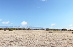 Laredowood Drive lot: 16-B, Medanales, NM 87548