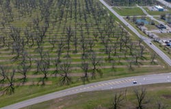 0 US Highway 19, Leesburg, GA 31763