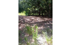 Tbd Dogwood, Murchison, TX 75778