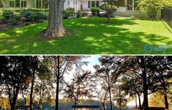 1702 Roseberry Drive, Scottsboro, AL 35769