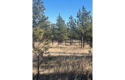 TBD Windriver Place, Piedmont, SD 57769