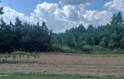 2 Taylors Gin Rd, Castalia, NC 27816