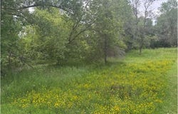 Lot 4,Block 4 Circle Drive NW, Ida Twp, MN 56308