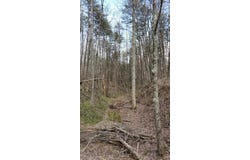 0 Old Holy Water Road, Tracy City, TN 37387