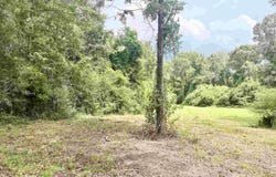 4599 Brushy Creek Rd, Range, AL 36473