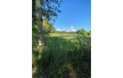 TBD Baudoin Rd, Maurice, LA 70555