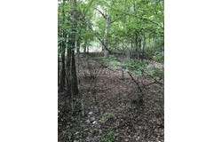 43 HIGH VALLEY SOUTH, MONTEREY, VA 24465