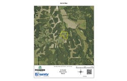 000 423rd St, Nebo, IL 62355