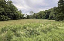 Co. Rd. 119, Ironton, OH 45638