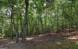 Lot 138 Timber Rock, Cleveland, GA 30528