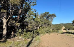 2576 K Path, Cotopaxi, CO 81223