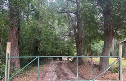 228 S Broad Street, Buena Vista, GA 31803