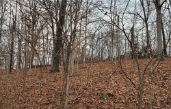 Padbury  DR, Bella Vista, AR 72715