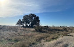 6050 U.S. Highway 377, Brady, TX 76825