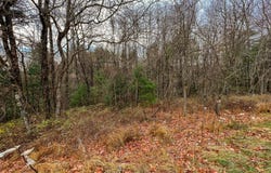 Lot 115 Old Hollow Trail, Fancy Gap, VA 24328
