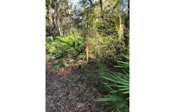 NW Camp Azalea Road lot: 47, Other Florida, FL 32626