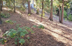 330 Castle Gate Road, Lake Arrowhead, CA 92352