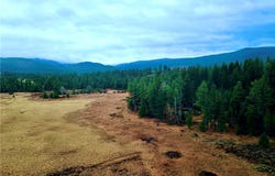 Strandskov Road, MT 59639