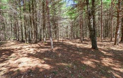 7519 ISLAND VIEW RD, Three Lakes, WI 54562