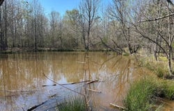 0 Seymore Rd, Nettleton, MS 38858
