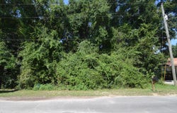 Lot 20 Winchester Way, Crestview, FL 32539