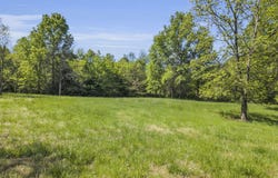 8 +/- Acre SE Rattle Snake Hill Drive, Butler, MO 64730