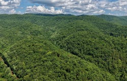 Rt 7 Nr Creamery Rd, Wayside, WV 24985