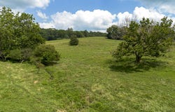 151 Acres Sunnybrook Rd, Fairfield, VA 24435