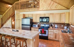67 Spruce Ave, Red River, NM 87558