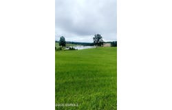 26 Lakeview Drive, Union, MS 39365