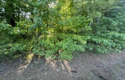 0 COUNTY ROAD 879, SELMA, AL 36701