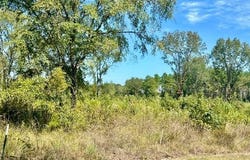 CR 1111, Atlanta, TX 75551