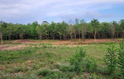 Slab Town Road, Dover, AR 72837