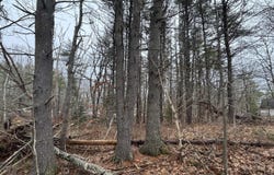 74 Mountain Road, Woolwich, ME 04579