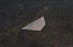 0-Lot 3&4 Murray Hollow Road, Thaxton, VA 24174