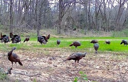 2530 WEST FORK Rd, Grand Junction, TN 38039