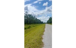 Combined Lots 3 & 4 SE FAMILY Road, LAKE CITY, FL 32025