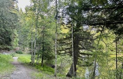 45 Alder Way, Whitefish, MT 59937