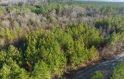 23 Painted Bunting Trail, Smithville, OK 74957