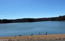 0 Hollywood Dr., Saulsbury, TN 38067