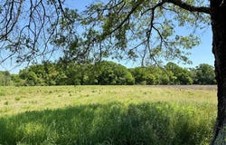 11.97 acres Omussee Road, Dothan, AL 36303