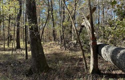 1229 EDGE Lane, Tignall, GA 30668