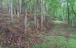 63-65 Deerwood Circle, Dahlonega, GA 30533