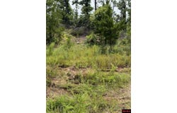 CR 868 lot: 7, Henderson, AR 72544